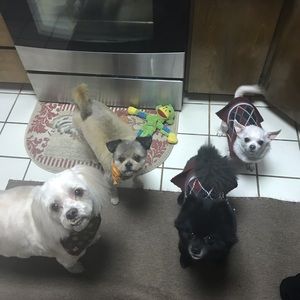 Meet your Posher, Vicky